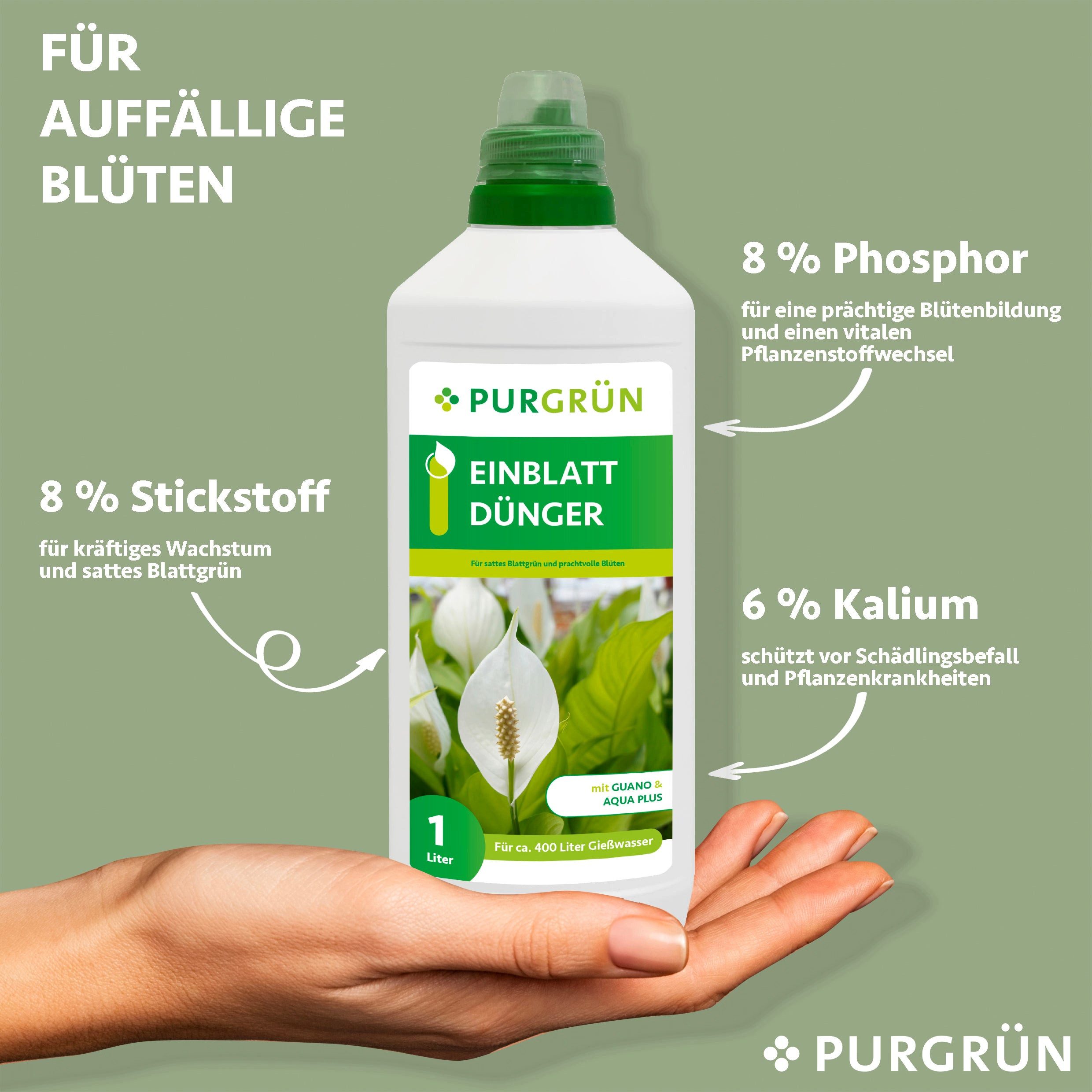 Azaleen-Dünger 1 Liter, Flüssigdünger NPK 8+8+6 | Mit Guano & Spurennährstoffen | Für üppige Blüten & Gesundes Wachstum
