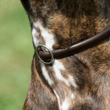 Kieffer Hunde-Halsband Kieffer Hundehalsband Ultrasoft, rundgenäht - braun