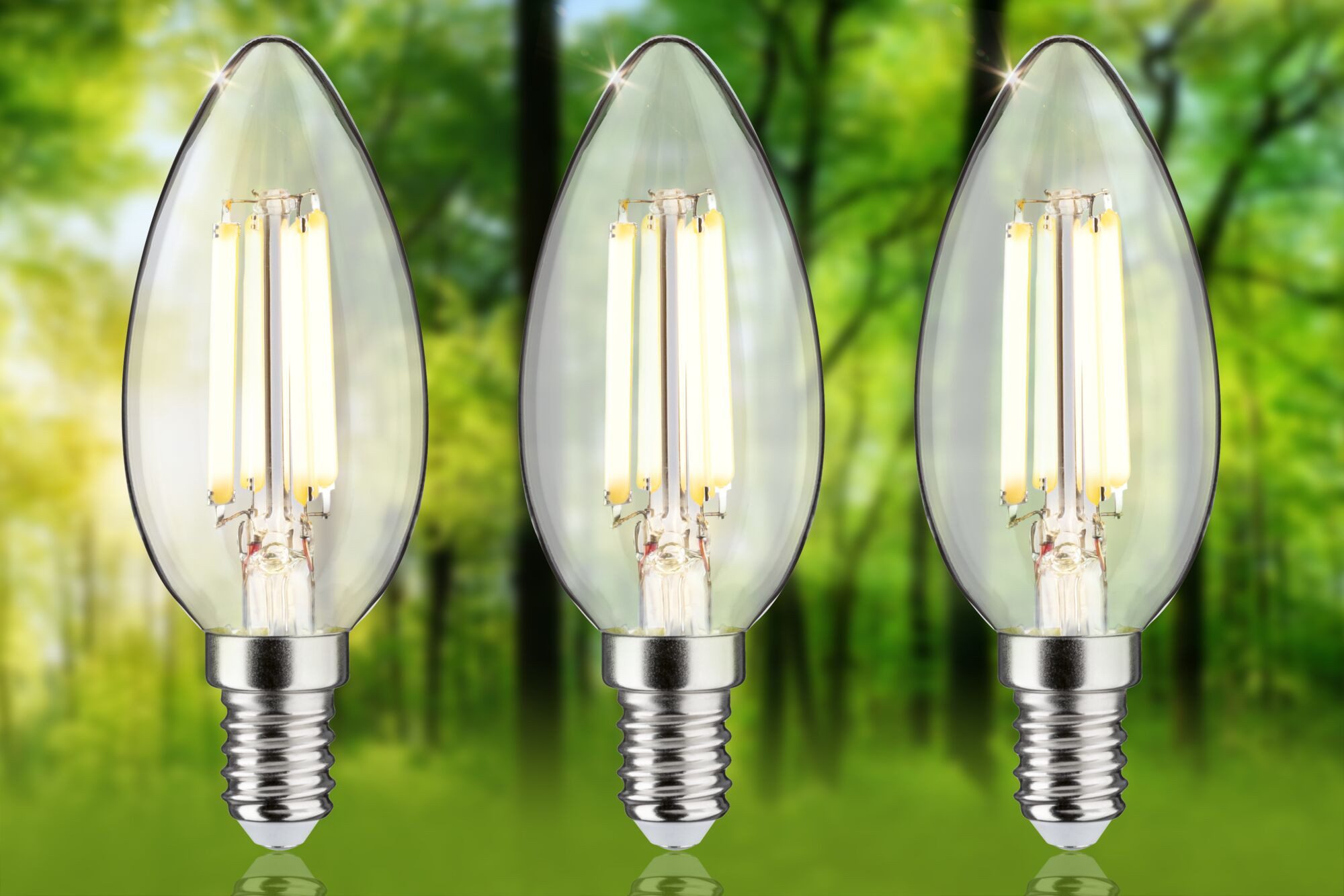 Paulmann LED-Leuchtmittel Eco-Line Filament 230V LED günstig online kaufen