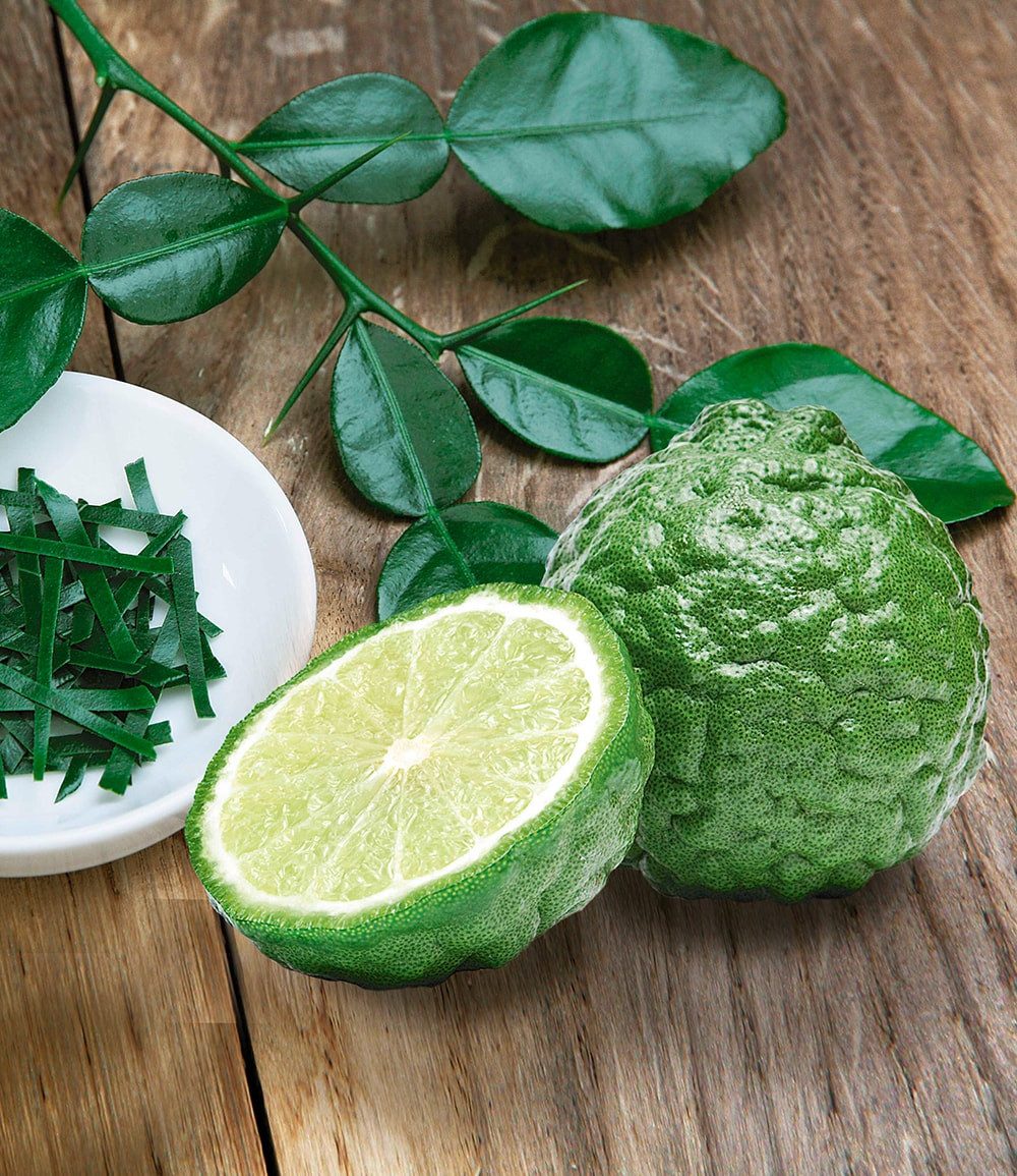 BALDUR Garten Zimmerpflanze Gewürz-Limette Kaffir, 1 St., Zitronenbäumchen, pflegeleicht