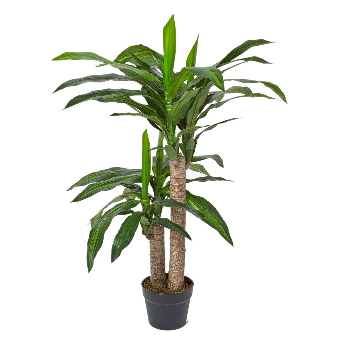 Kunstbaum Dracaena Fragrans (Drachenbaum) Kunstpflanze im günstig online kaufen