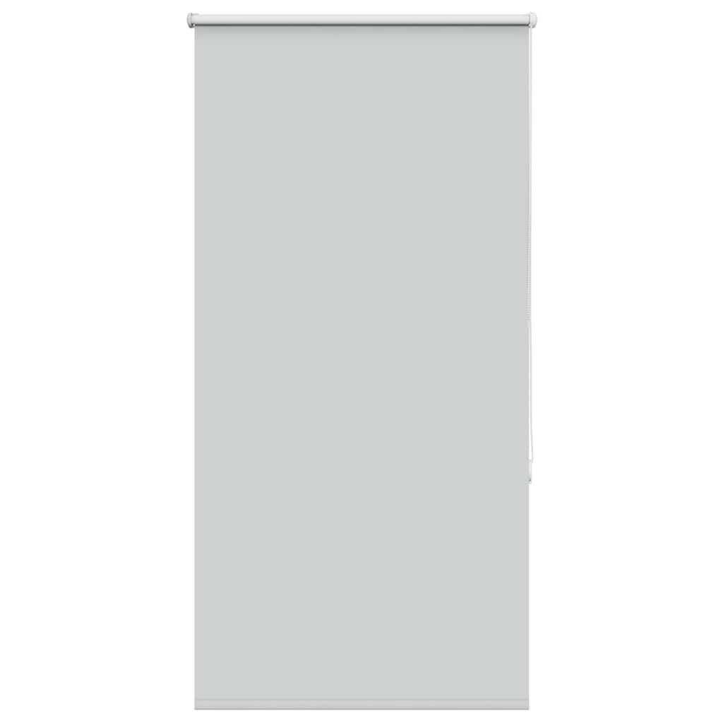 Rollo Verdunkelungsrollo Hellgrau 80x150 cm Stoffbreite günstig online kaufen