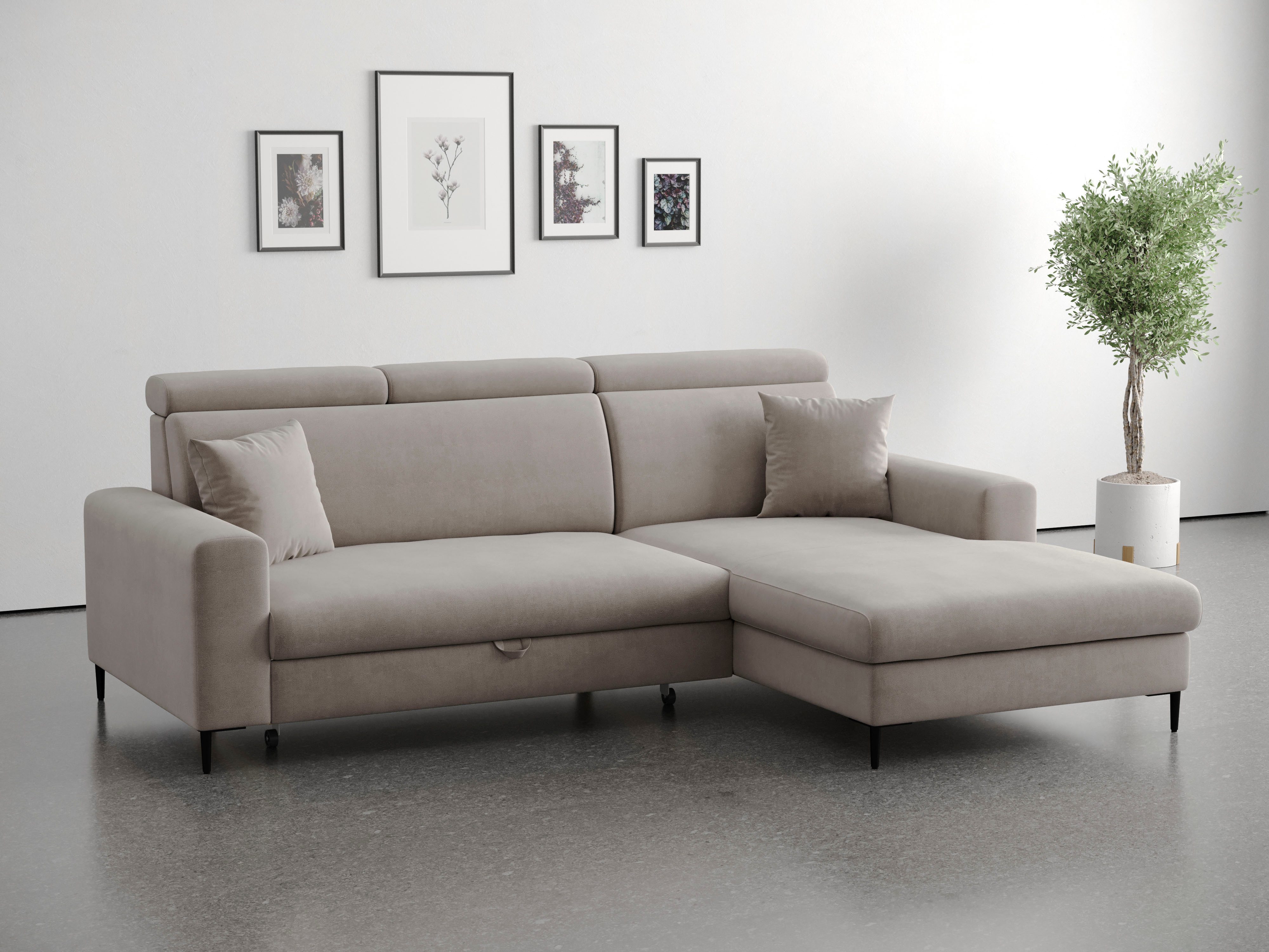 Trends by HG Ecksofa Nizza, L-Form, B: 250cm, mit Schlaffunktion und Bettkasten