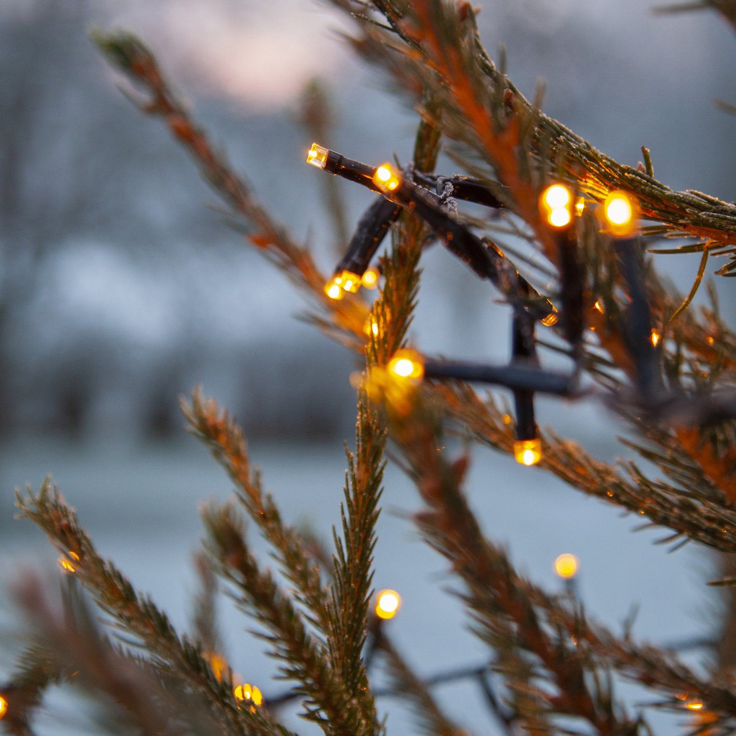 für 1200 24m, gold LED Außen LED MARELIDA LED-Lichterkette 1200-flammig warmweiße bernstein Lichterkette