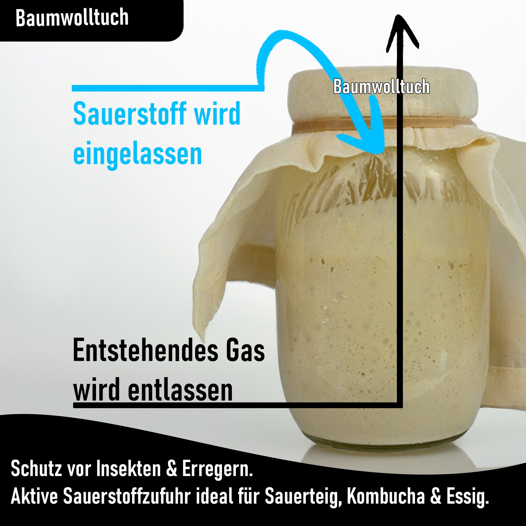 Blubberglas Fermentationsglas Fermentationskit Sauerkraut, Kombucha, Kimchi, Sauerteig fermentieren, (Glas, Fermentationsdeckel, Glasgewicht, Holzstampfer, Baum – Bild 4 von 5