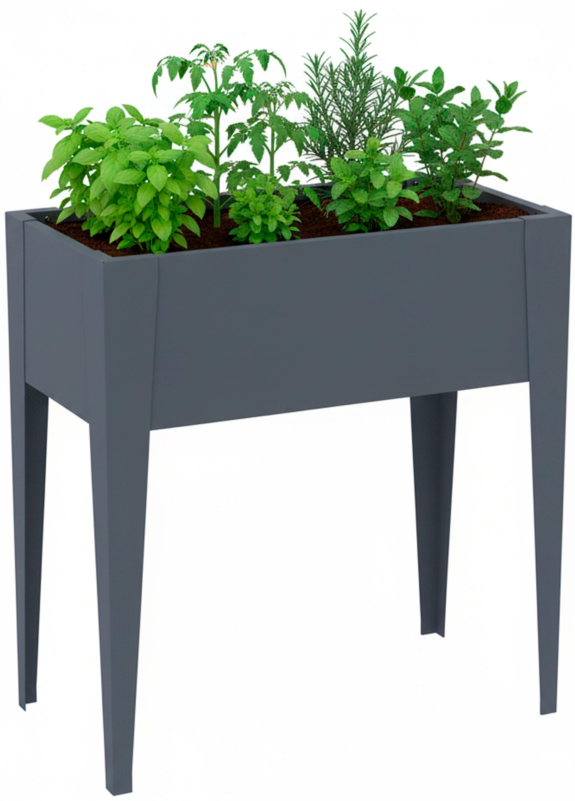 WESTMANN Hochbeet Vedura S, BxTxH: 74x40x80 cm