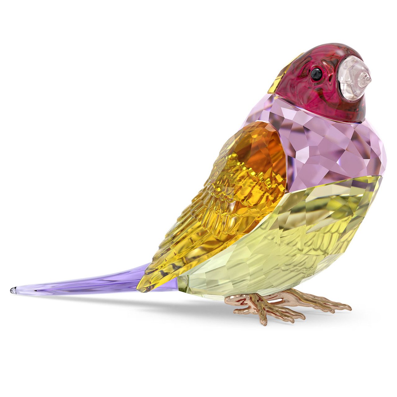 Swarovski Sammelfigur Swarovski IDYLLIA:SCS GOULDIAN FINCH, LARGE 5689265