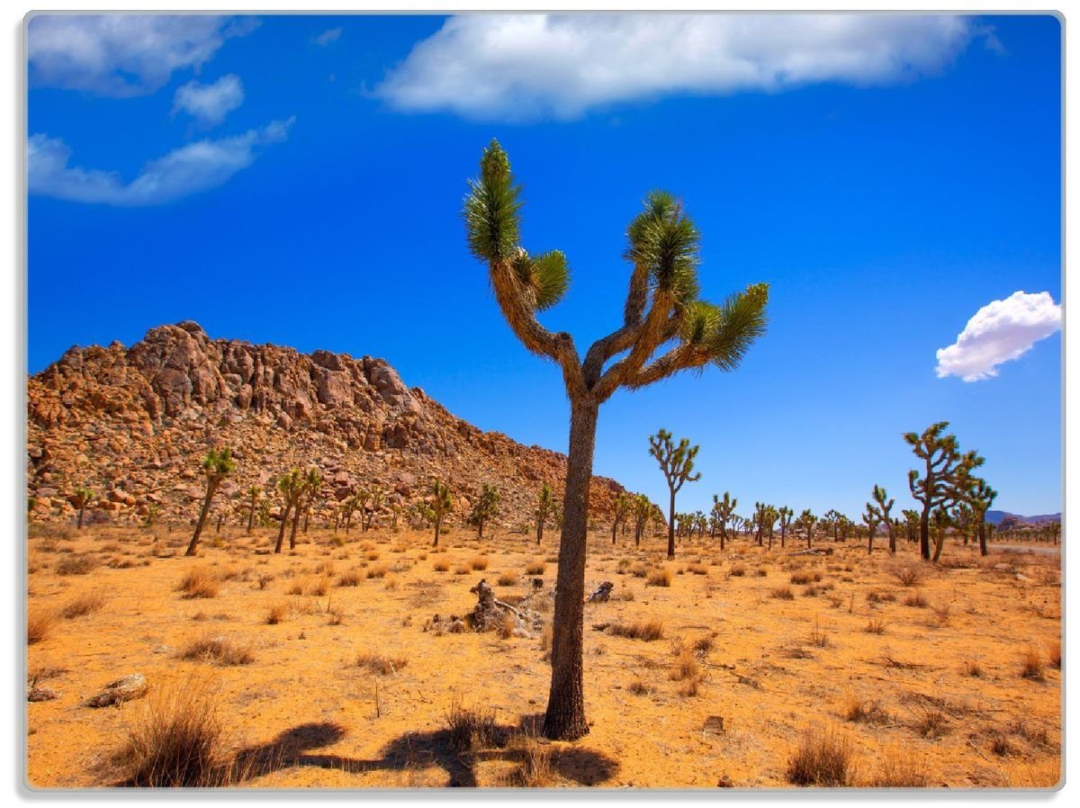 Wallario Schneidebrett Palmlilie im Nationalpark Yucca Valley  Wüstenlandschaft, ESG-Sicherheitsglas, (inkl. rutschfester Gummifüße 4mm, 1-St), 30x40cm