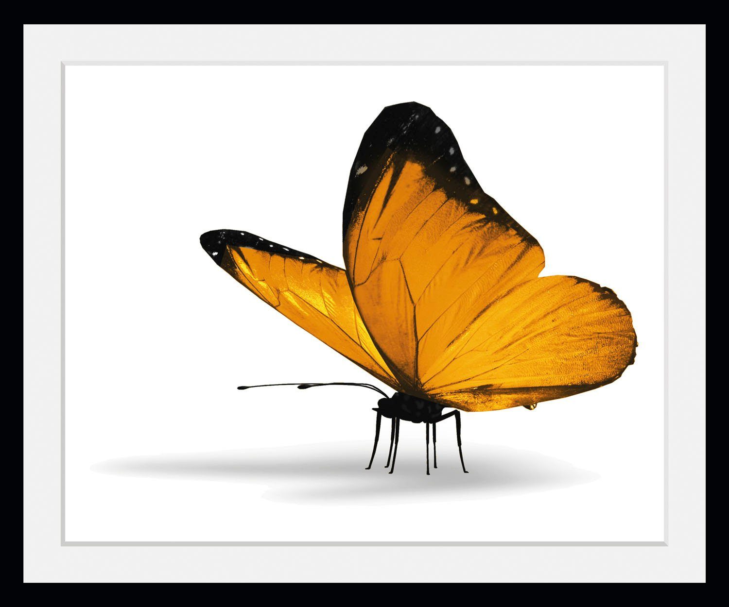 queence Bild Maria 1.0, Schmetterlinge (1 St) | Kunstdrucke