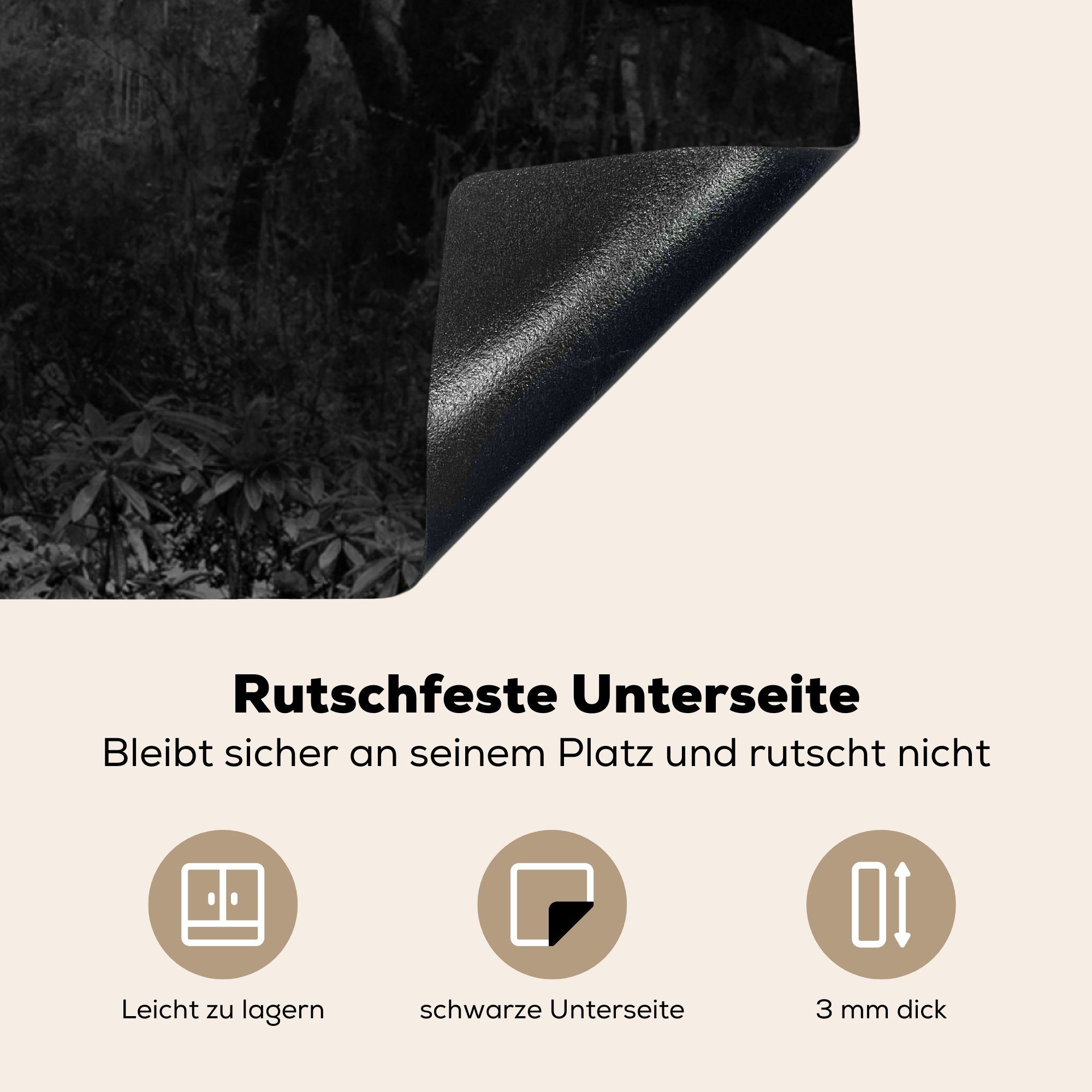 Regenwald, - 78x78 Schwarz Vinyl, für MuchoWow (1 - tlg), Arbeitsplatte küche cm, Bhutan - Ceranfeldabdeckung, Weiß Herdblende-/Abdeckplatte