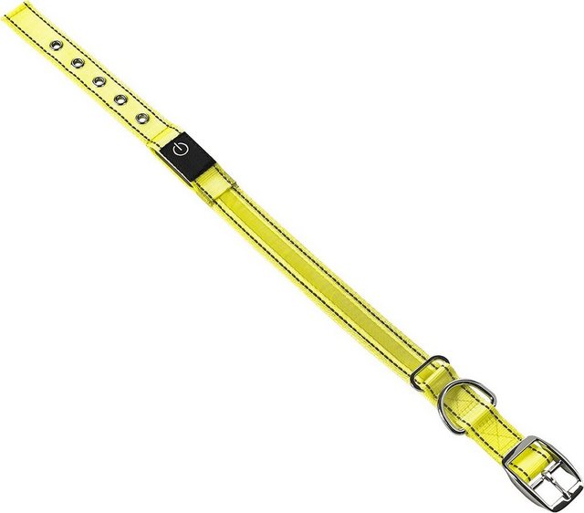 MeLiTec Hundehalsbandleuchte “LED-Hundehalsband B26”