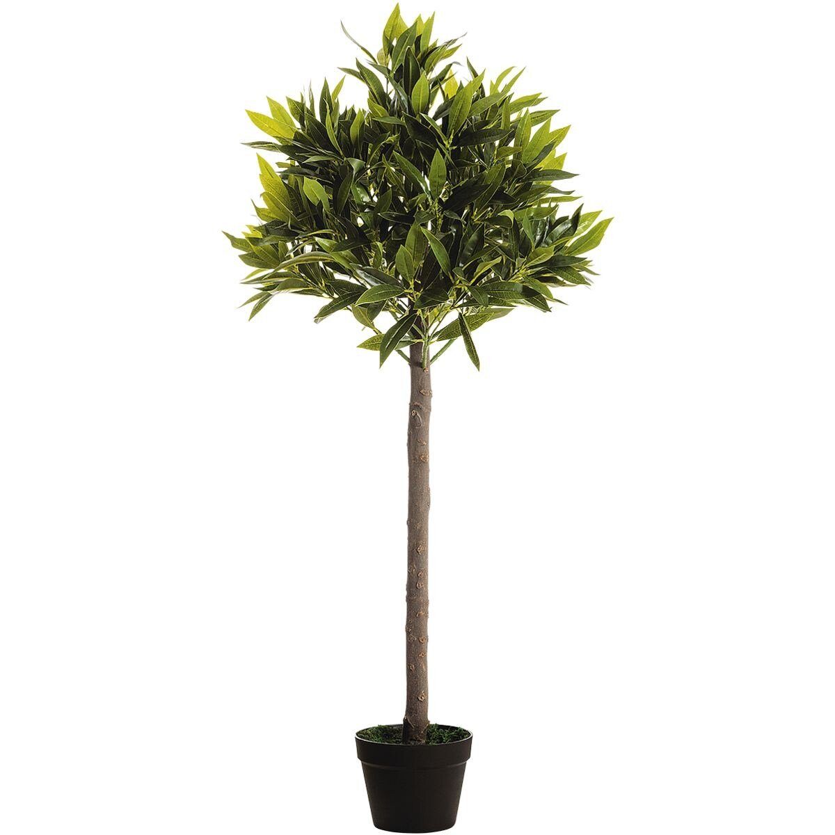 Kunstbaum Olivenbaum, PAPERFLOW, Höhe 125 cm, Kunstpflanze 125 cm, pflegeleicht