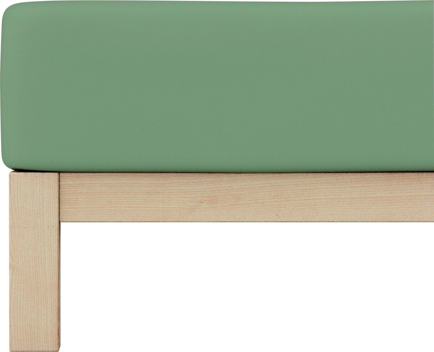 Schlafgut Spannbettlaken PURE Bio-Baumwolle mit Elasthan, günstig online kaufen