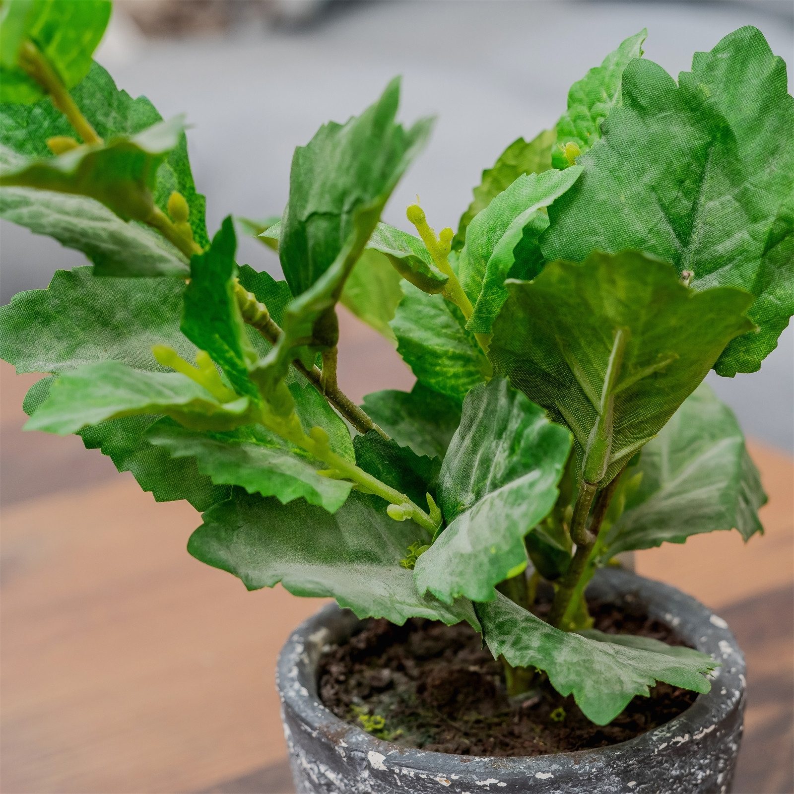 Kunstblume Grünpflanze im Topf Kunstpflanze Flora unbekannt, HTI-Living, Hö günstig online kaufen