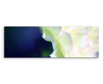 Sinus Art Leinwandbild Naturfotografie  Weiße Blüte auf Leinwand exklusives Wandbild moderne Fotografie für ihre Wand in v