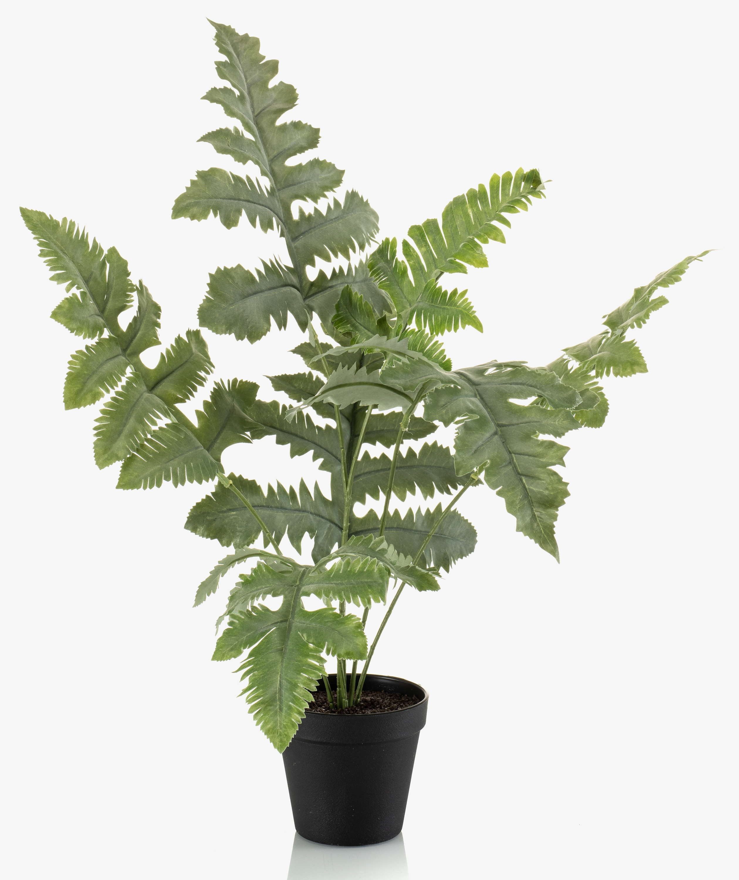 Künstliche Zimmerpflanze Künstlicher Goldtüpfelfarn SCORPI im Dekotopf, grün, 60cm Farn (Goldtüpfelfarn), artplants, Höhe 60.0 cm