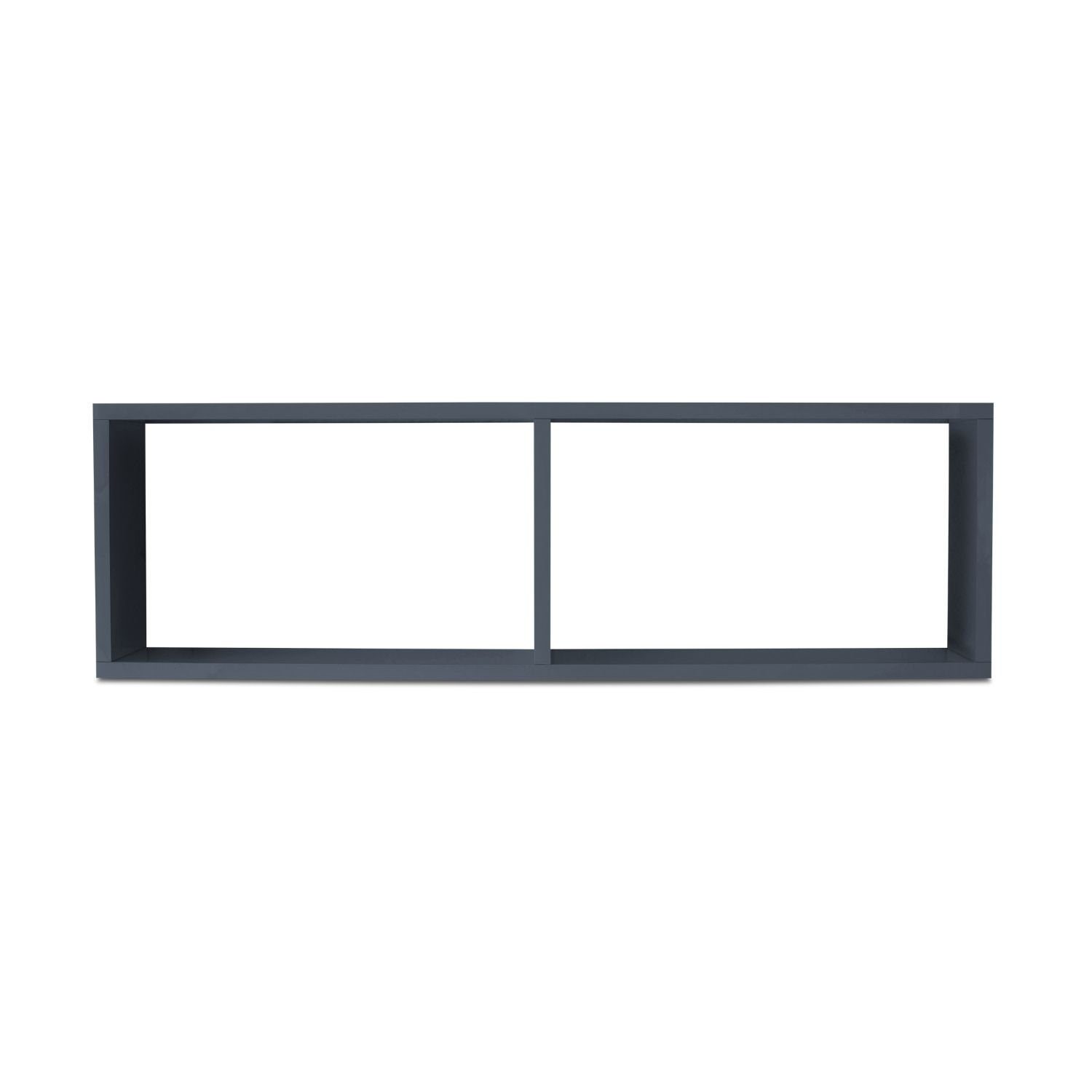 TRAUMMÖBEL Regal, Hängeregal 100x16x31 cm Fächern farblich mit kombinierbar Schwarz 2