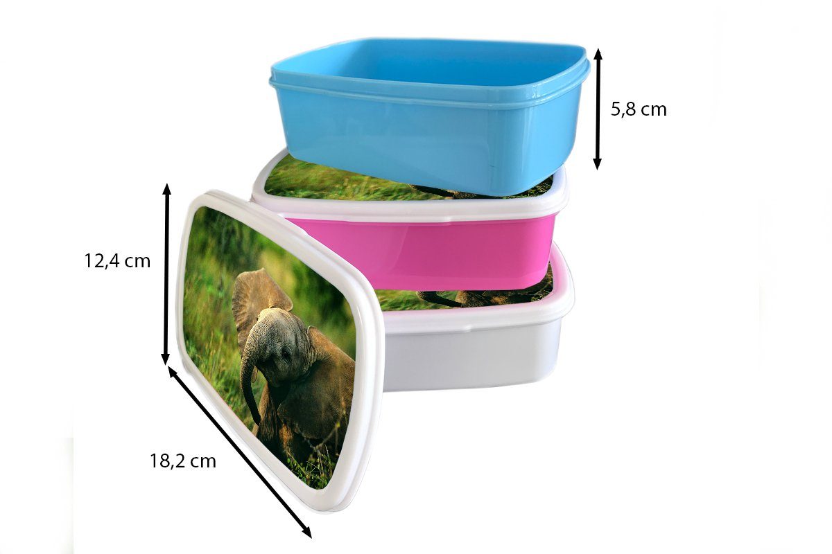 Lunchbox Kunststoff, Tiere Kinder - Jungs (2-tlg), Grün für und Elefant weiß Mädchen und Erwachsene, MuchoWow - - Natur, Brotdose, Brotbox für