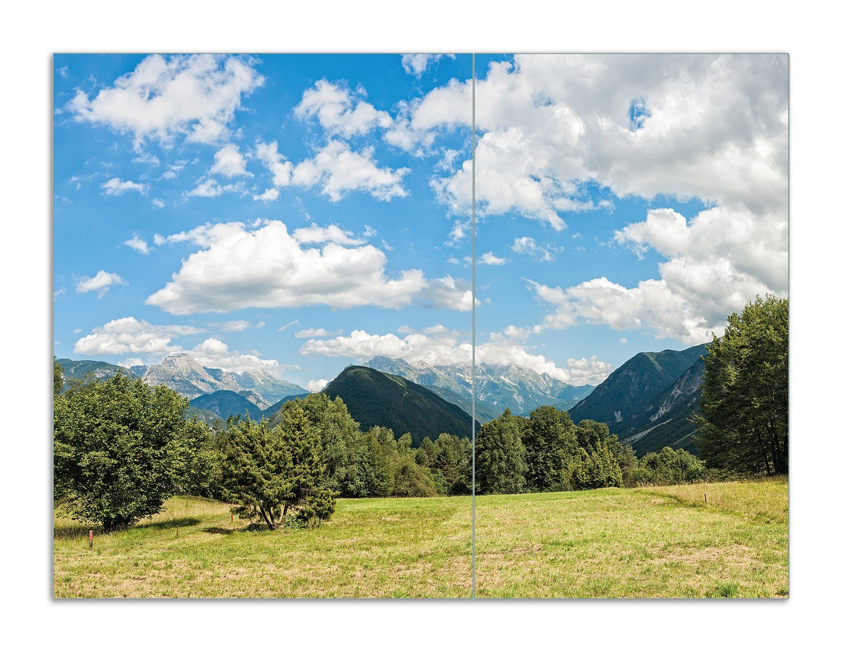 Wallario Herd-Abdeckplatte Bergwiese in den Alpen, ESG-Sicherheitsglas, (Glasplatte, 2 tlg., inkl. 5mm Noppen), verschiedene Größen