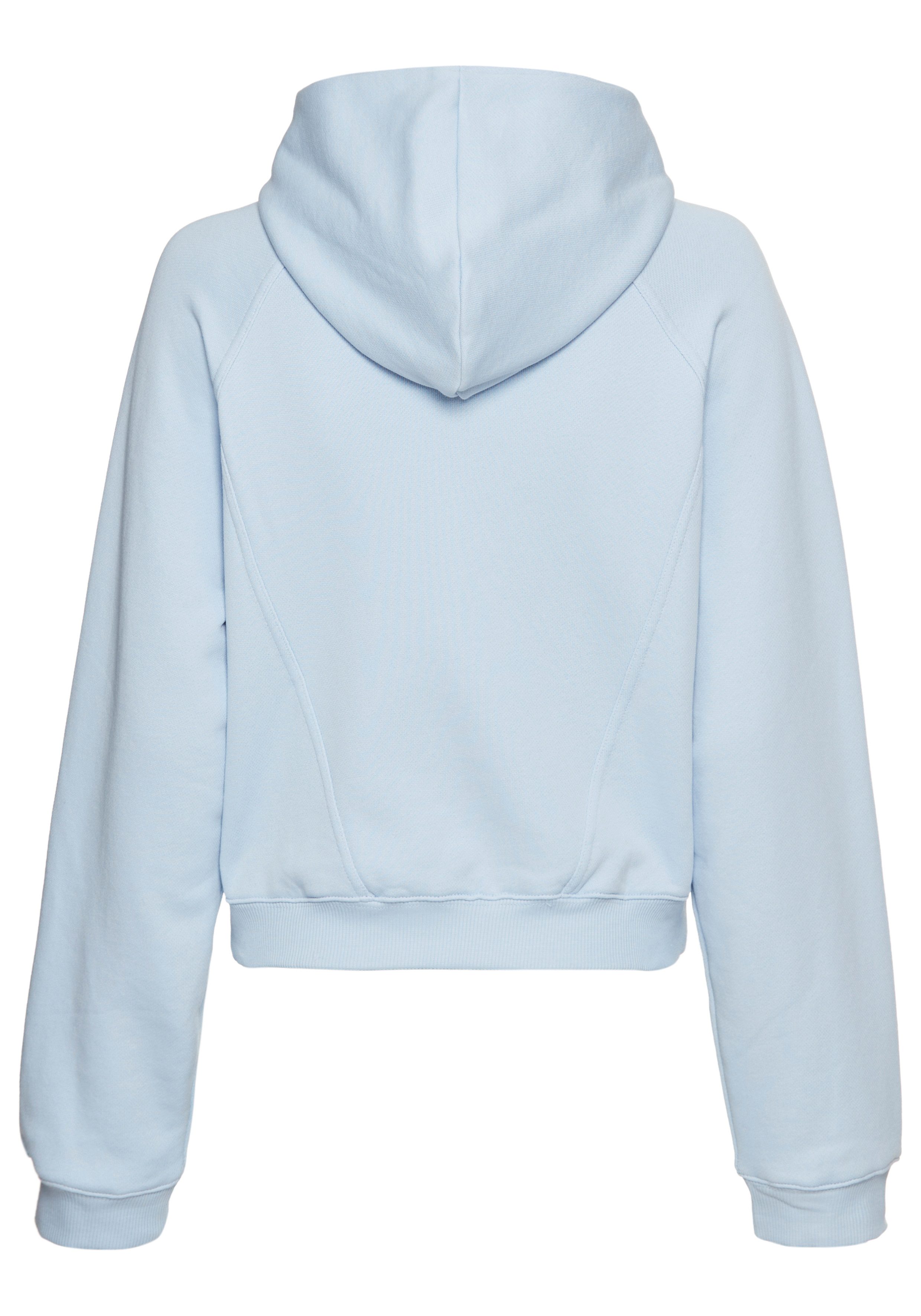 Reebok Kapuzensweatshirt D Hoodie günstig online kaufen