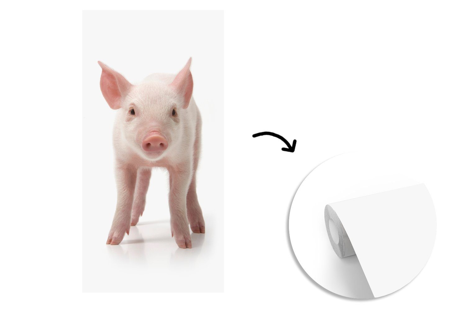 (2 Küche, St), Weiß, Fototapete Wohnzimmer Matt, Fototapete Schwein bedruckt, Schlafzimmer - Tiere für Vliestapete MuchoWow -