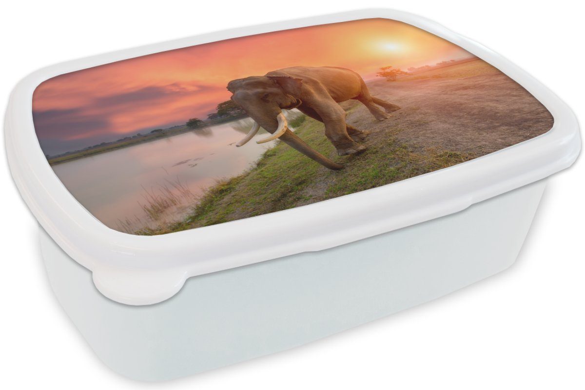 MuchoWow Lunchbox Brotbox Natur, für - weiß Erwachsene, und Wasser Sonnenuntergang Kunststoff, Kinder (2-tlg), Tiere Elefant Jungs - - für Mädchen und - Brotdose