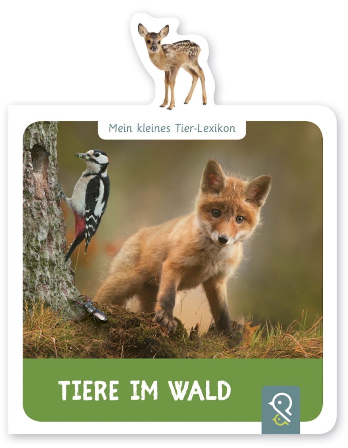 Tiere im Wald / Hannah Kastenhuber