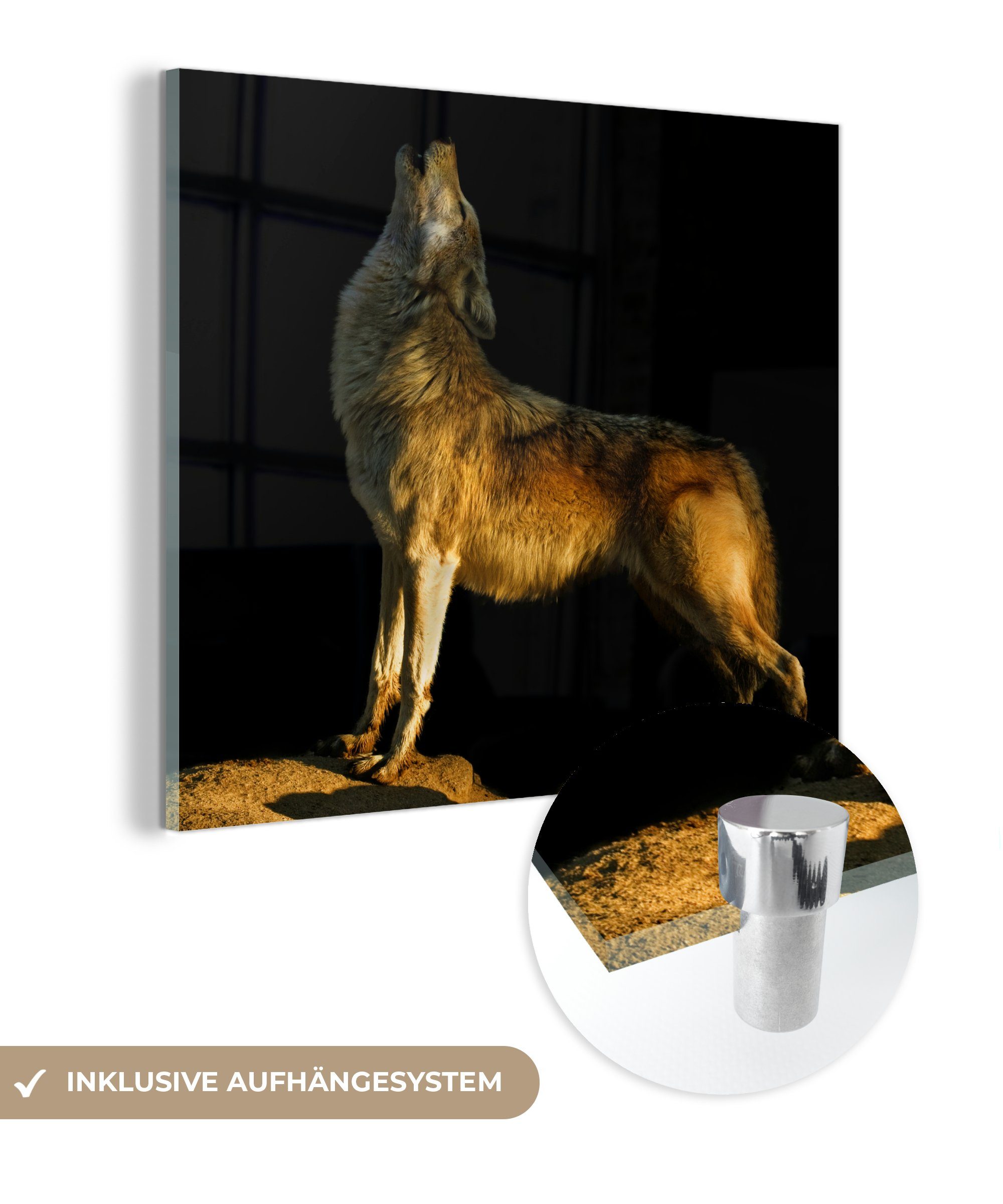 Glas Wandbild auf (1 Foto Wanddekoration Acrylglasbild Bilder - St), auf - - Heulender Glasbilder Wolf, MuchoWow Glas