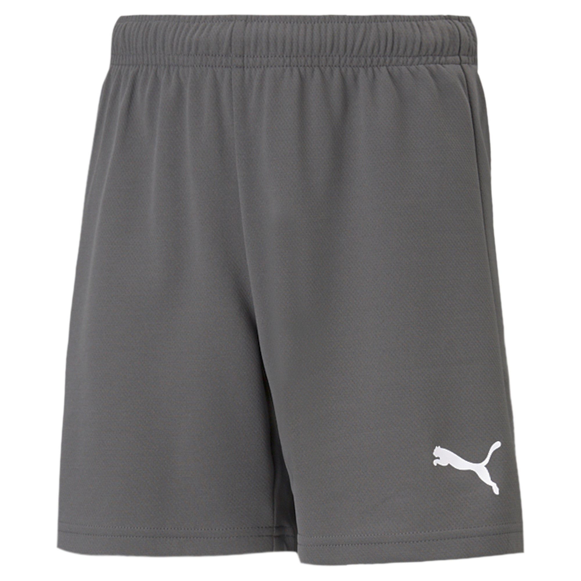 PUMA Trainingsshorts Puma Kinder Shorts teamRISE Short Jr 704943