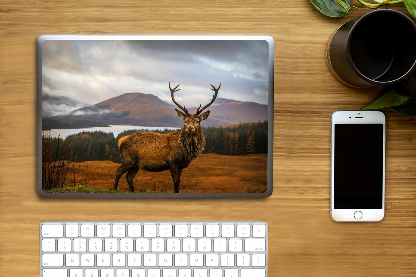 Thumbnail - MuchoWow Laptop-Aufkleber Hirsche - Berge - Wasser - Landschaft - Tiere - Bäume, (1tlg), Laptop Folien Cover, Aufkleber,...