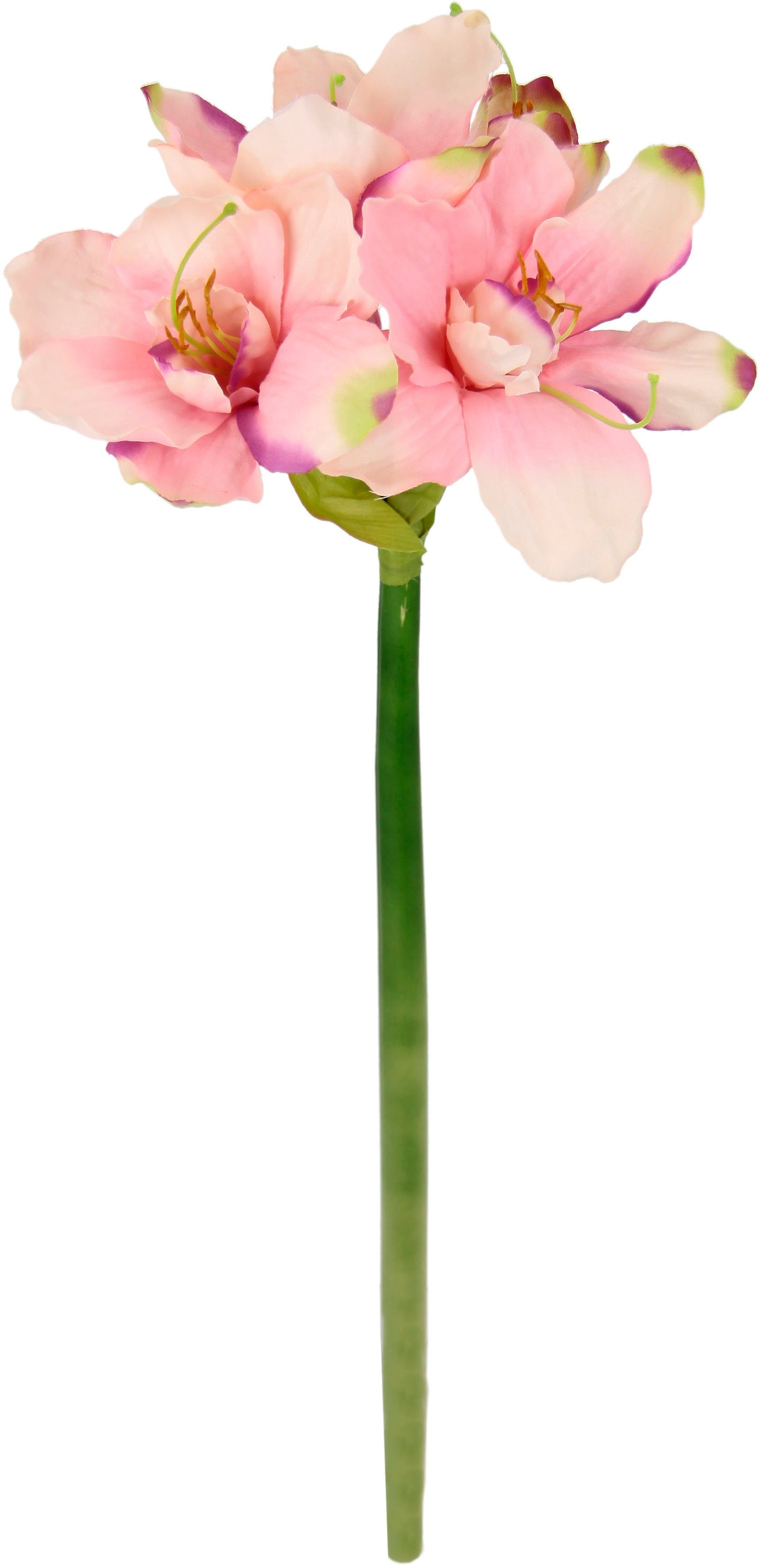 Kunstblume Amaryllis, I.GE.A., Höhe 65 cm, Kunst-Stielblume, 3er Set günstig online kaufen
