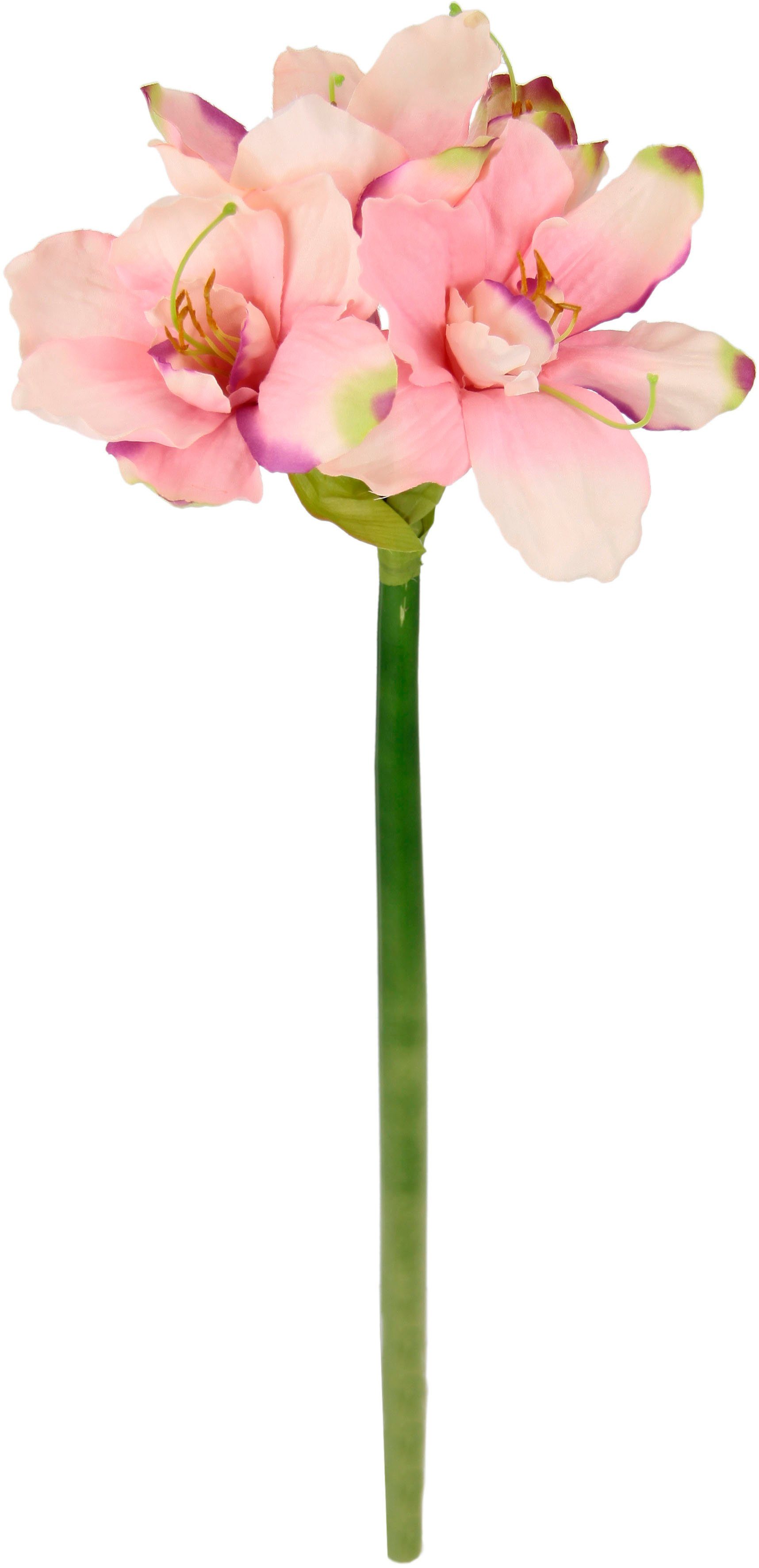 Kunstblume Amaryllis, I.GE.A., Höhe 65 cm, Kunst-Stielblume, 3er Set | Kunstblumen