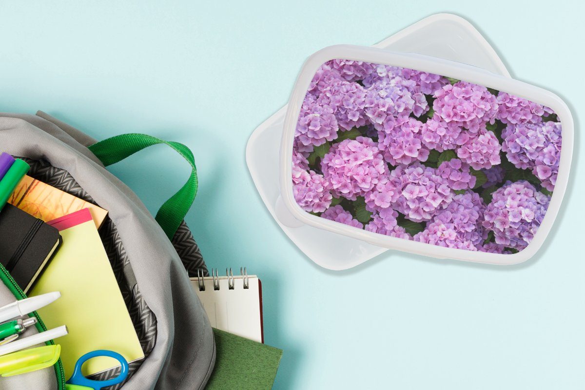 Kunststoff, Blumen - Hortensie Rosa und - Erwachsene, und Brotbox Kinder weiß für Blütenblätter, - Jungs MuchoWow Brotdose, - (2-tlg), für Strauch Lunchbox Mädchen