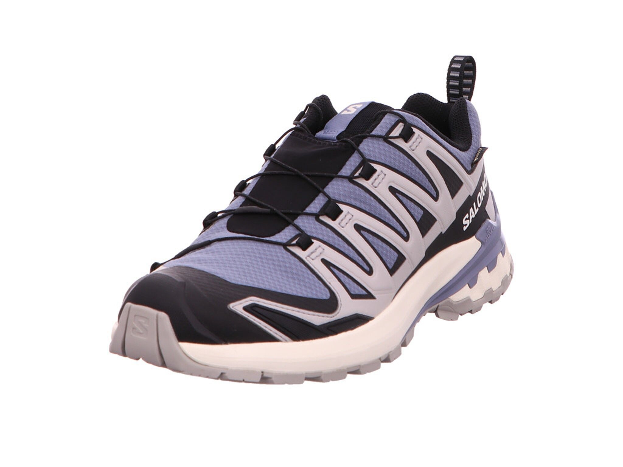 Salomon XA PRO 3D V9 GTX Outdoorschuh günstig online kaufen