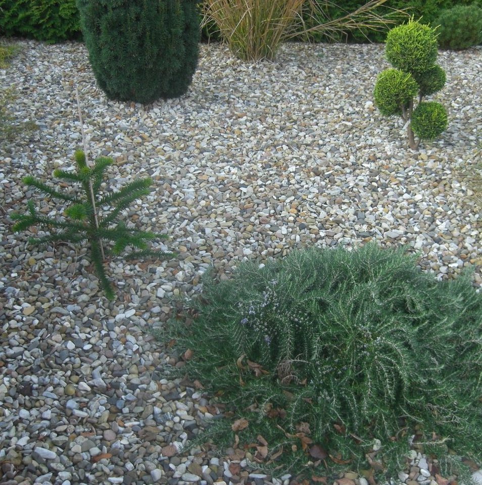 Thumbnail - HaGa Stoff GARTENVLIES 80g/m² 2m x 10m Unkrautvlies, Mulchvlies,Unkrautfolie,Mulchfolie (nie wieder Unkraut jäten keine