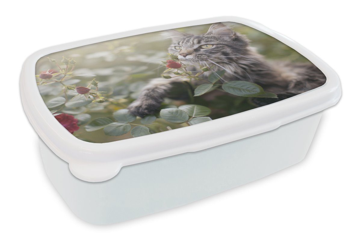 MuchoWow Lunchbox Maine Coon Cat zwischen den roten Rosen im Garten, Kunststoff, (2-tlg), Brotbox für Kinder und Erwachsene, Brotdose, für Jungs und Mädchen weiß