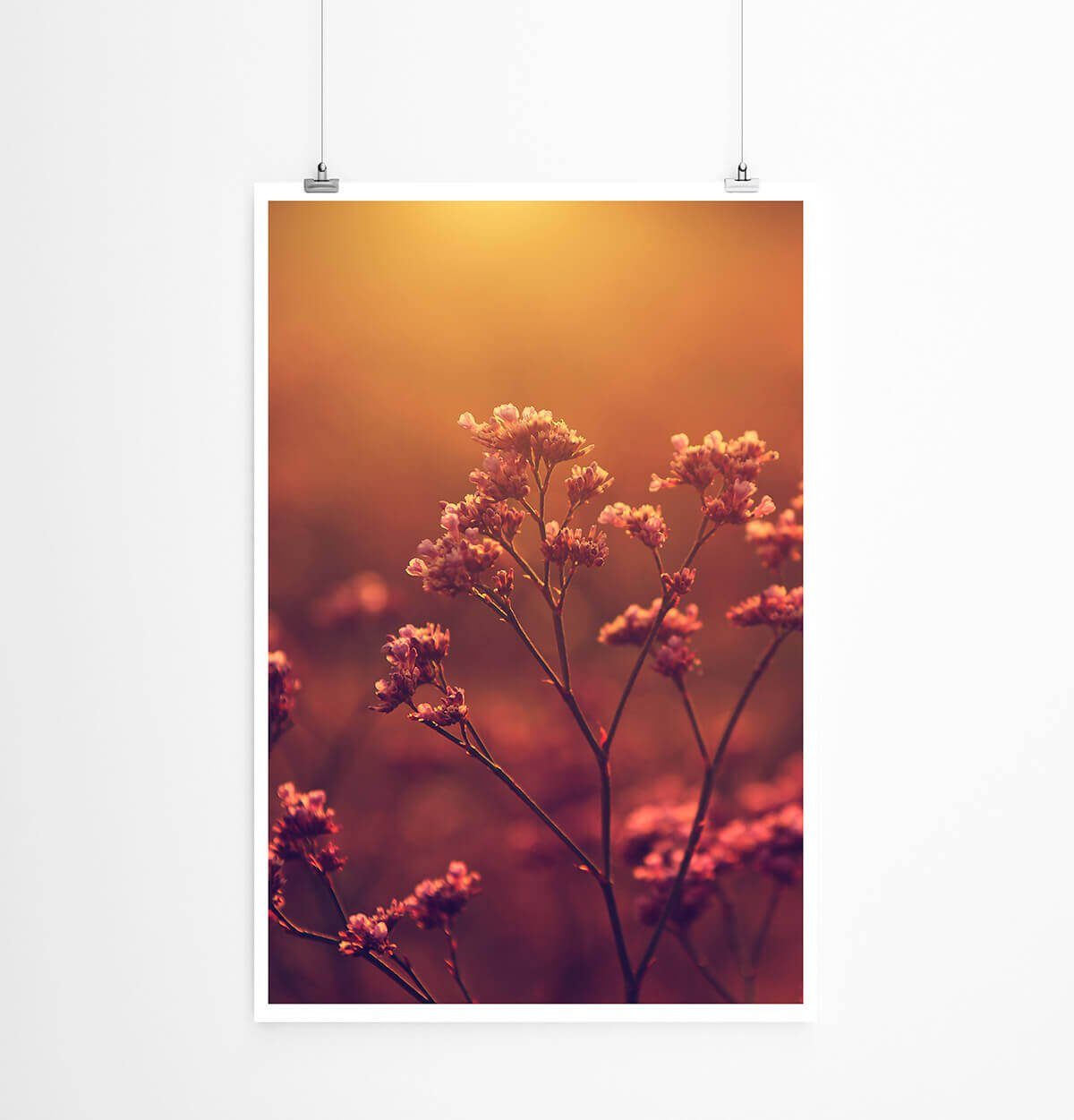 Sinus Art Poster Naturfotografie 60x90cm Poster Romantischer Blütenzweig bei Sonnenuntergang