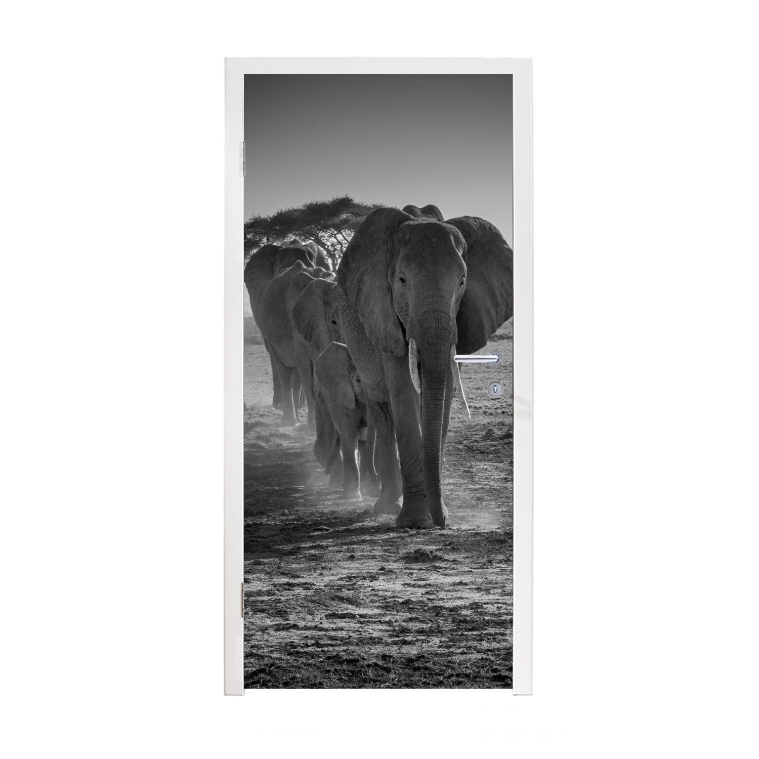 für - Matt, Fototapete St), Schwarz MuchoWow 75x205 - - Einfarbig Türtapete bedruckt, - Elefant Tiere Weiß, (1 cm Tür, Türaufkleber,