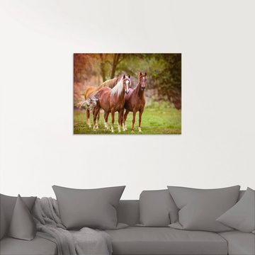 Artland Glasbild Pferde in den Feldern I, Haustiere (1 St), in verschiedenen Größen