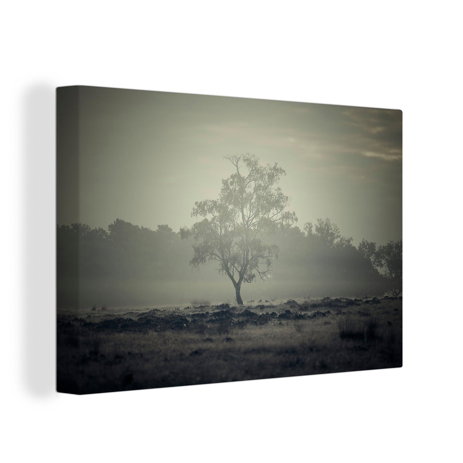 OneMillionCanvasses® Leinwandbild Morgennebel in der Nähe eines Baumes im Nationalpark De Hoge Veluwe in, (1 St), Wandbild Leinwandbilder, Aufhängefertig, Wanddeko, 30x20 cm