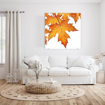 Primedeco Glasbild Wandbild Quadratisch Orange Herbstblätter mit Aufhängung, Natur
