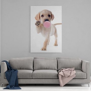 Hustling Sharks Poster Hunde-Bild als XXL Poster "Puppy Gum" - exklusive Tierbilder, in 7 unterschiedlichen Größen verfügbar