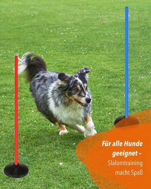 Superhund Agility-Slalom Scheibenfuß für alle Stangen mit ø 25 mm, Vollgummi