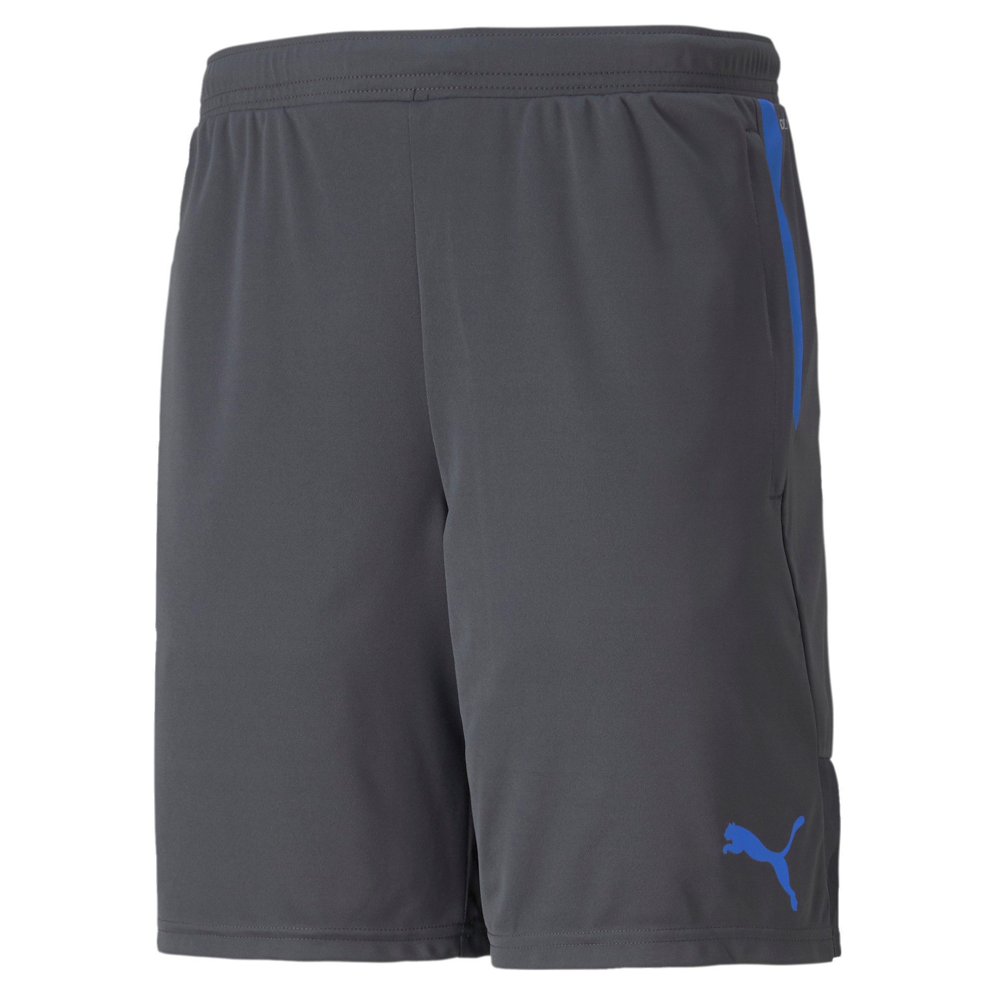 PUMA Trainingsshorts Puma Herren Shorts individualCUP günstig online kaufen