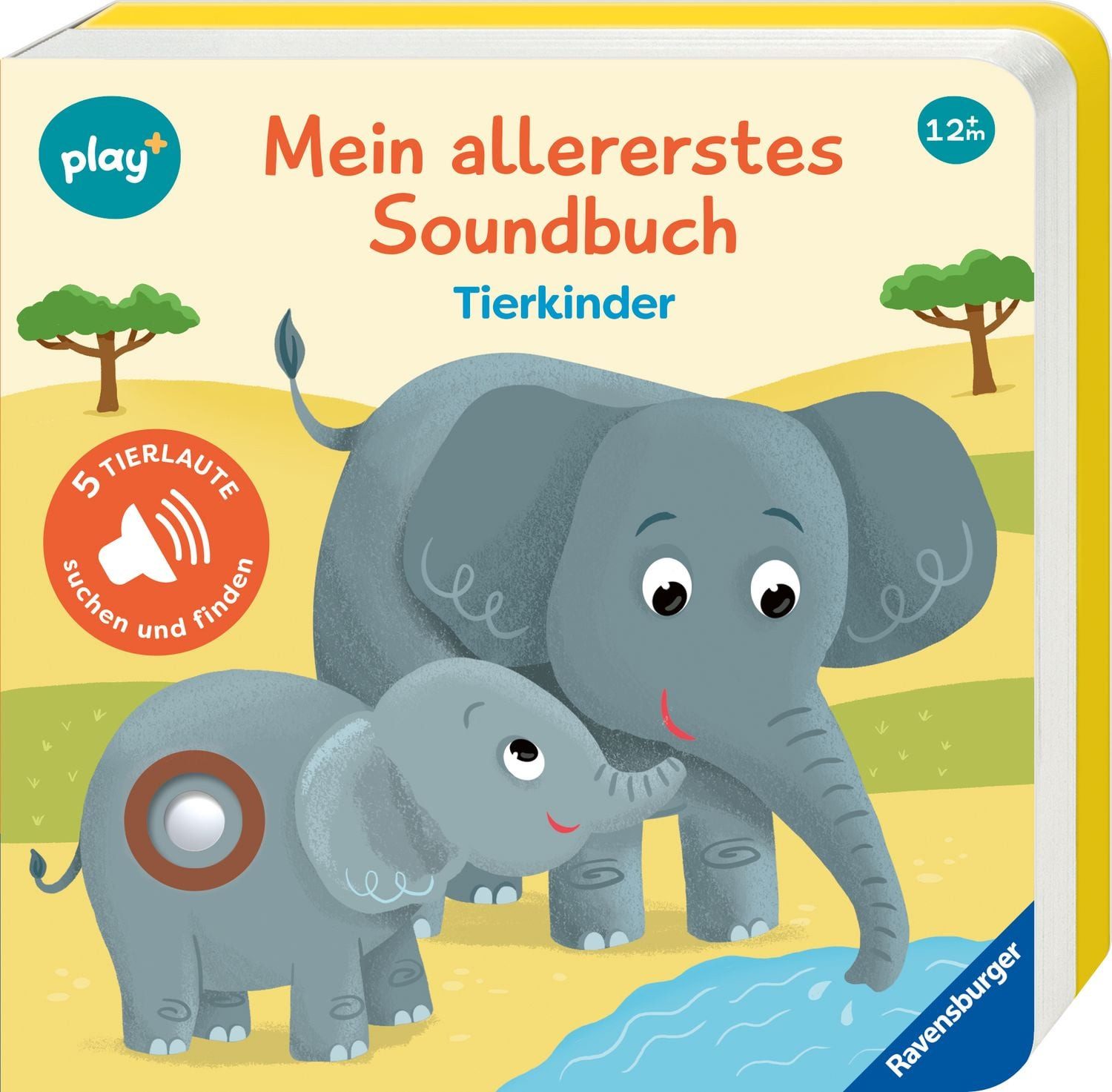 Play+ Mein allererstes Soundbuch Tierkinder - ab 12 Monate / Maria Höck, Sachen suchen und hören