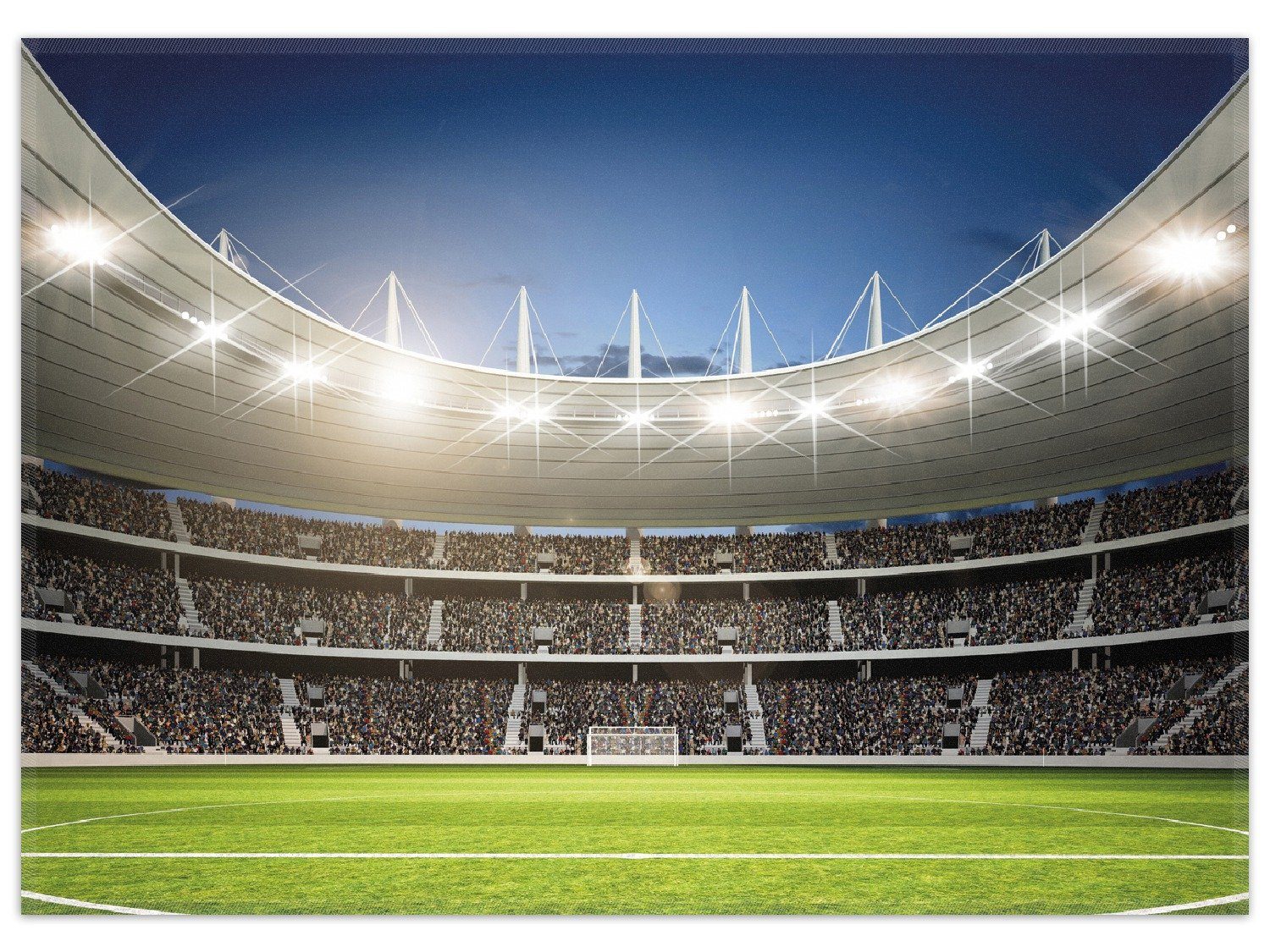 Wallario Teppich Fußballstadion Mittellinie, rechteckig, rutschfest