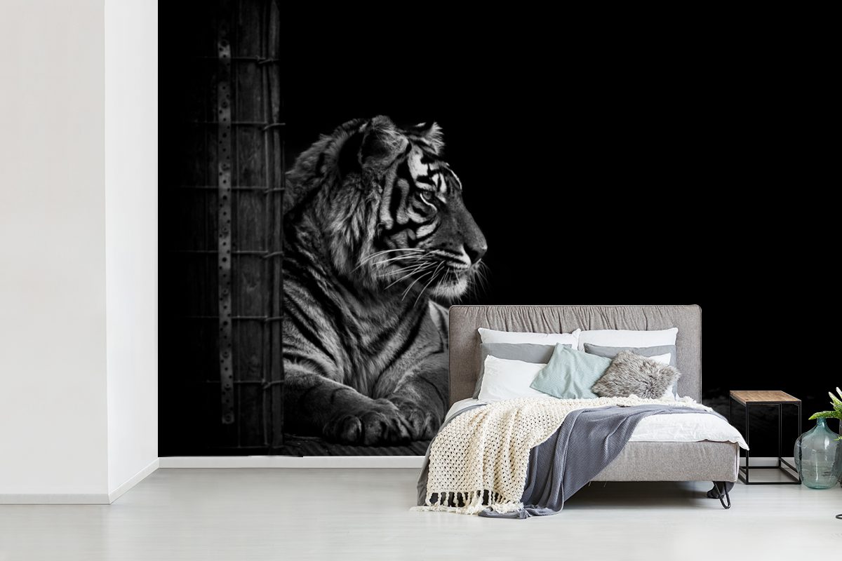 Schlafzimmer, Wallpaper MuchoWow Fototapete bedruckt, Matt, Tiere - Schwarz Kinderzimmer, Tiger Wohnzimmer, (6 St), Tapete Weiß, für Vinyl - -