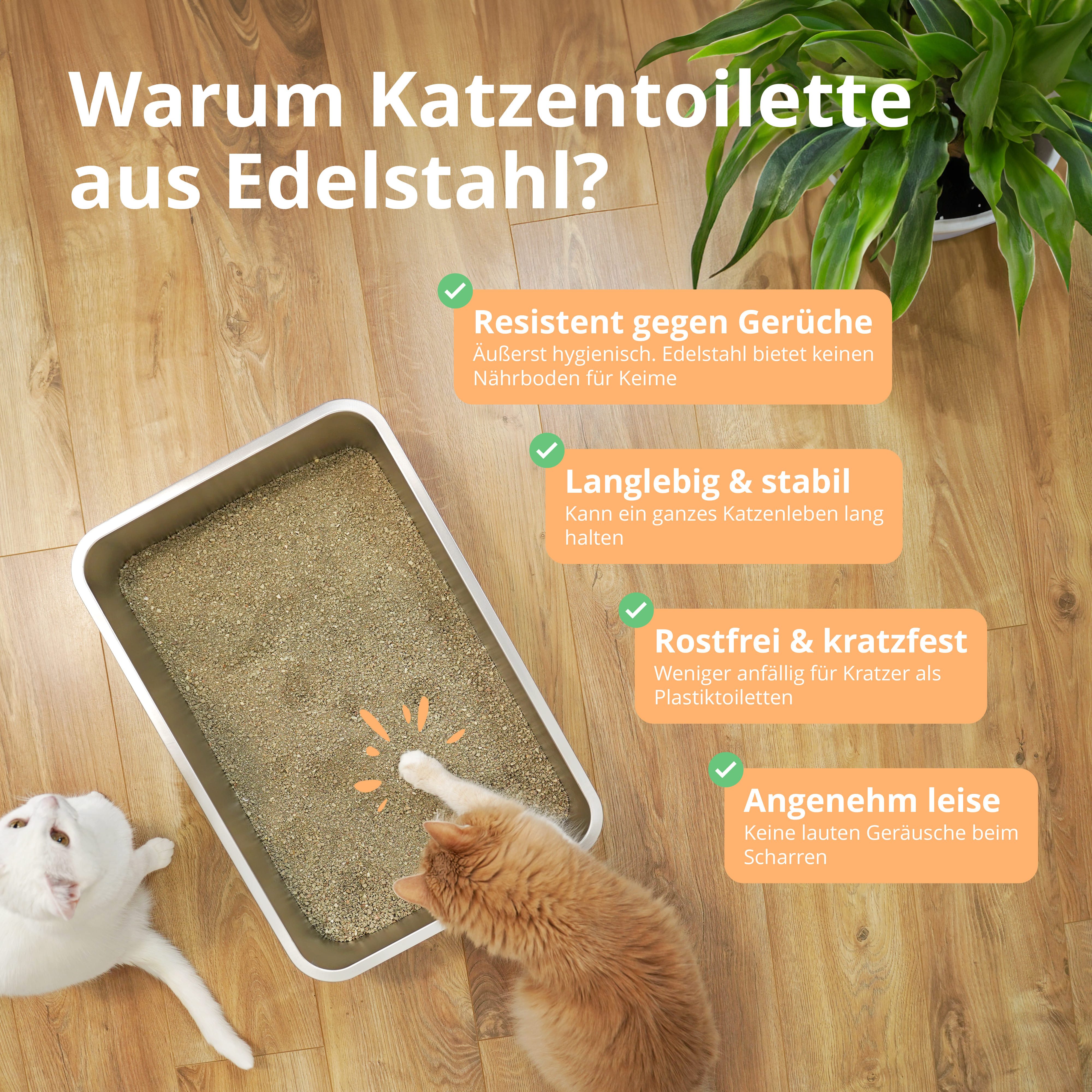 SCHLITZOHR Katzentoilette XXL Premium Edelstahl Katzenklo Lotte - silber, BxLxH: 60x40x15 cm, Edelstahl Toilette