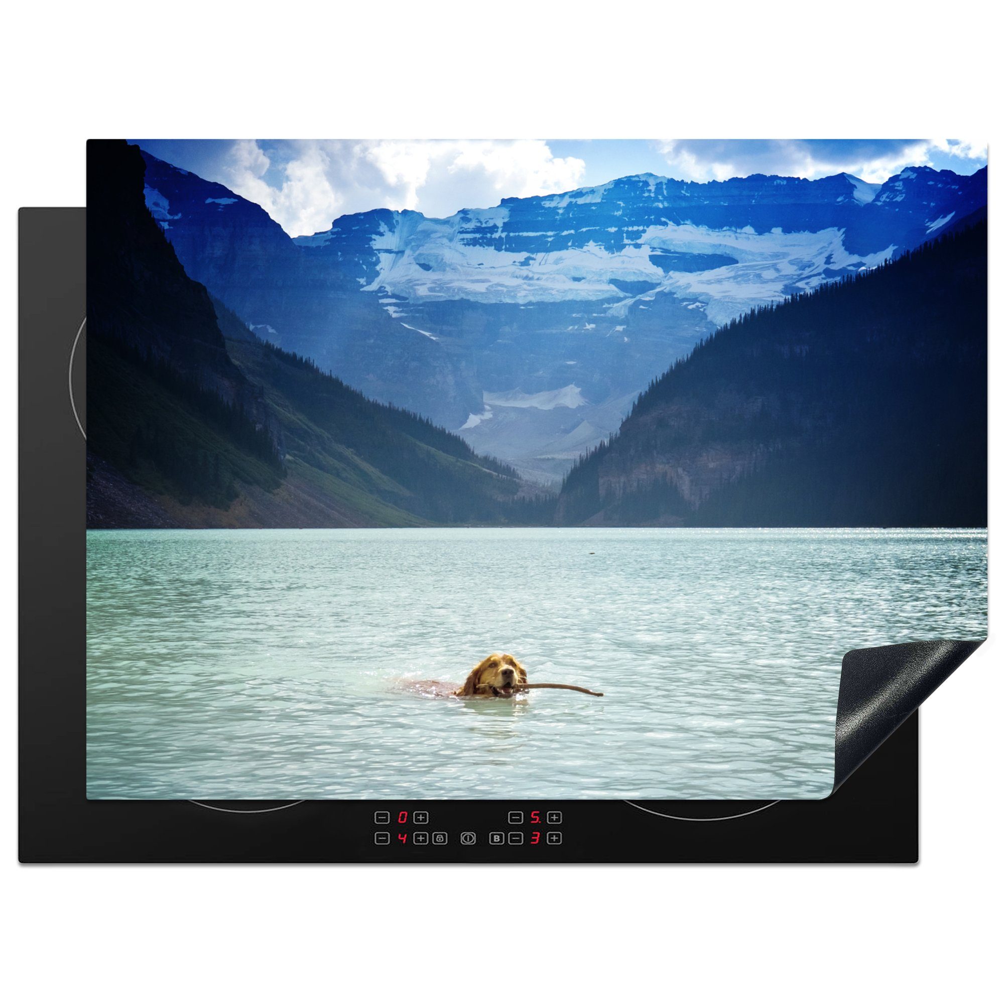 MuchoWow Herdblende-/Abdeckplatte Schwimmender Hund im See, Vinyl, (1 tlg), 70x52 cm, Mobile Arbeitsfläche nutzbar, Ceranfeldabdeckung