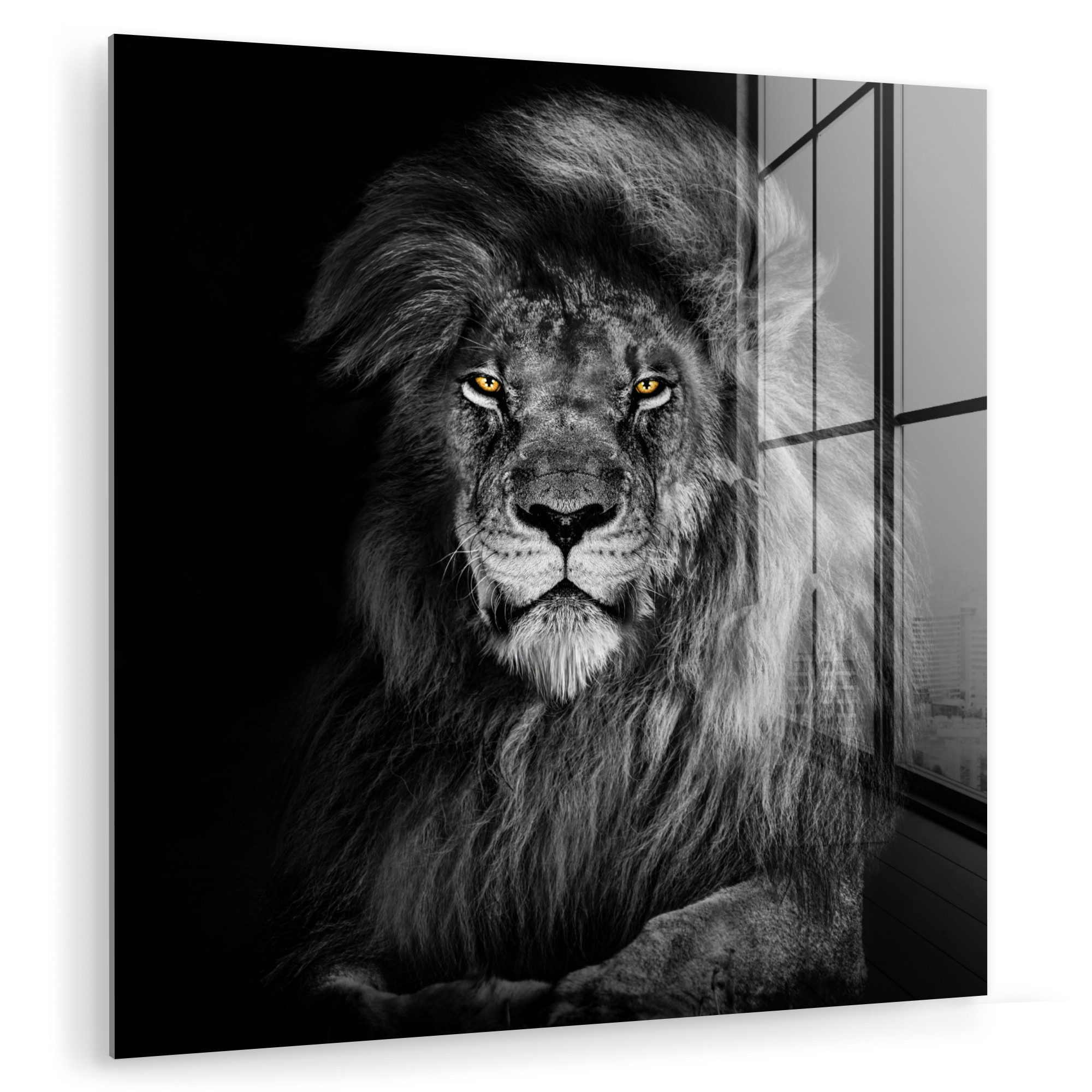 MuchoWow Acrylglasbild Löwe - Augen - günstig online kaufen